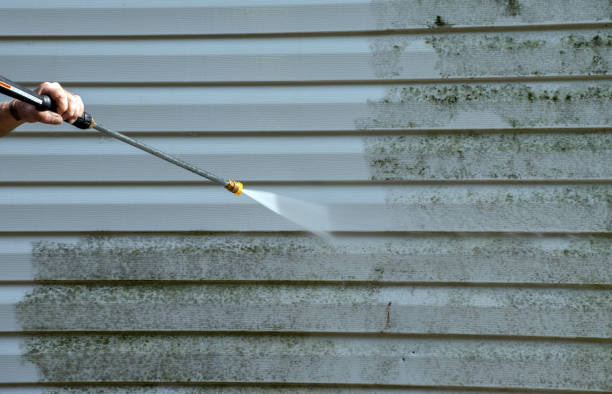 Roof Power Washing Services in Jonesboro, IL