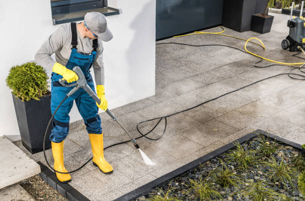 Best House Pressure Washing  in Jonesboro, IL